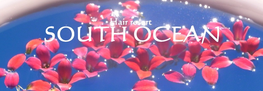 Hair resort SOUTH OCEAN