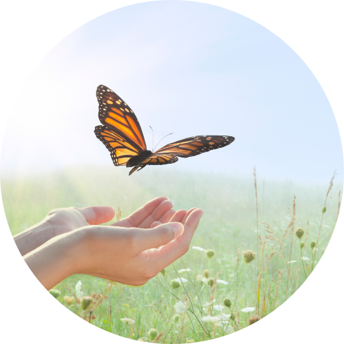 蝶々が手のひらから羽ばたいている画像