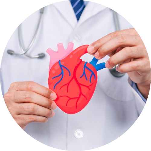 心臓のイラストを持っている医者