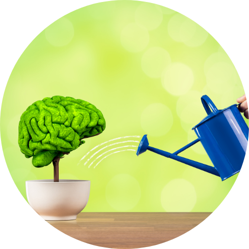 脳の形をした植木にじょうろで水を差している