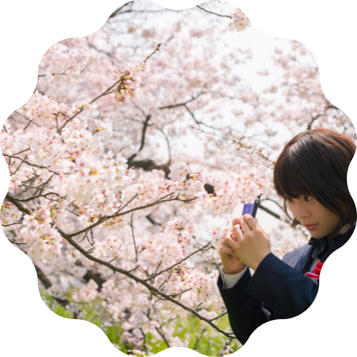 桜を背景に写真を撮っている女子高生