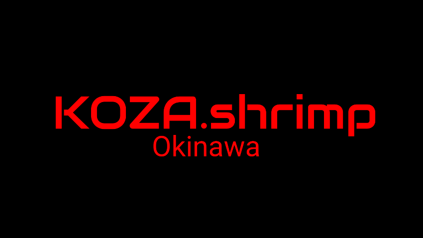 KOZA.shrimp 沖縄