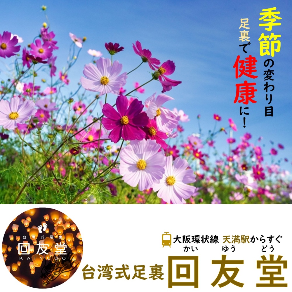 台湾式足裏 かいゆうどう