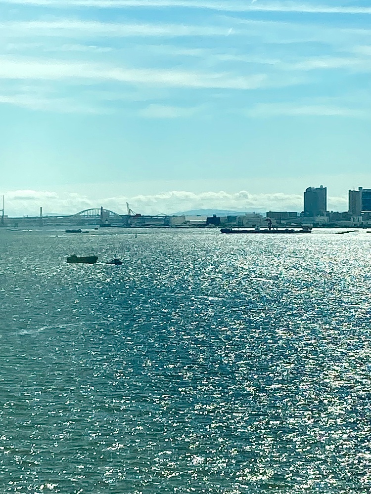 サイトタイトル