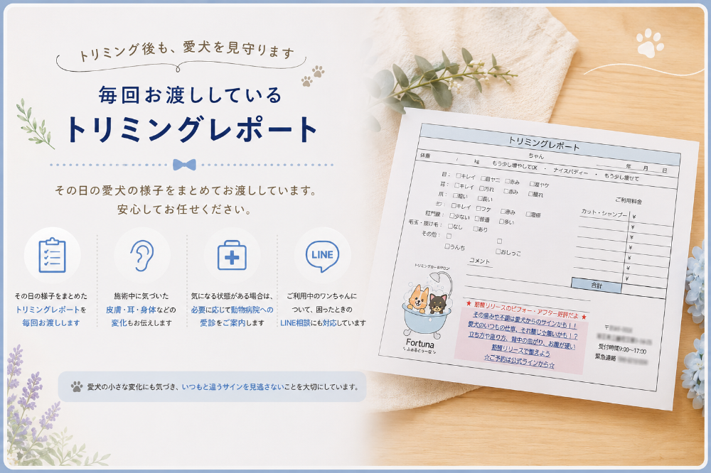 埼玉県三郷市のトリミングカー&サロンFortunaのトリミング後サポート。毎回トリミングレポートをお渡しし、施術中に気づいた愛犬の皮膚・耳・身体などの様子を飼い主様へお伝えしています。