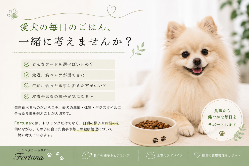 三郷市のトリミングカー&サロンFortunaの愛犬フード相談。ポメラニアンの食事をイメージし、年齢・体質・生活スタイルに合わせたフード選びや食べムラ、皮膚やお腹の悩みなど、毎日の食事と健康管理について相談できます。