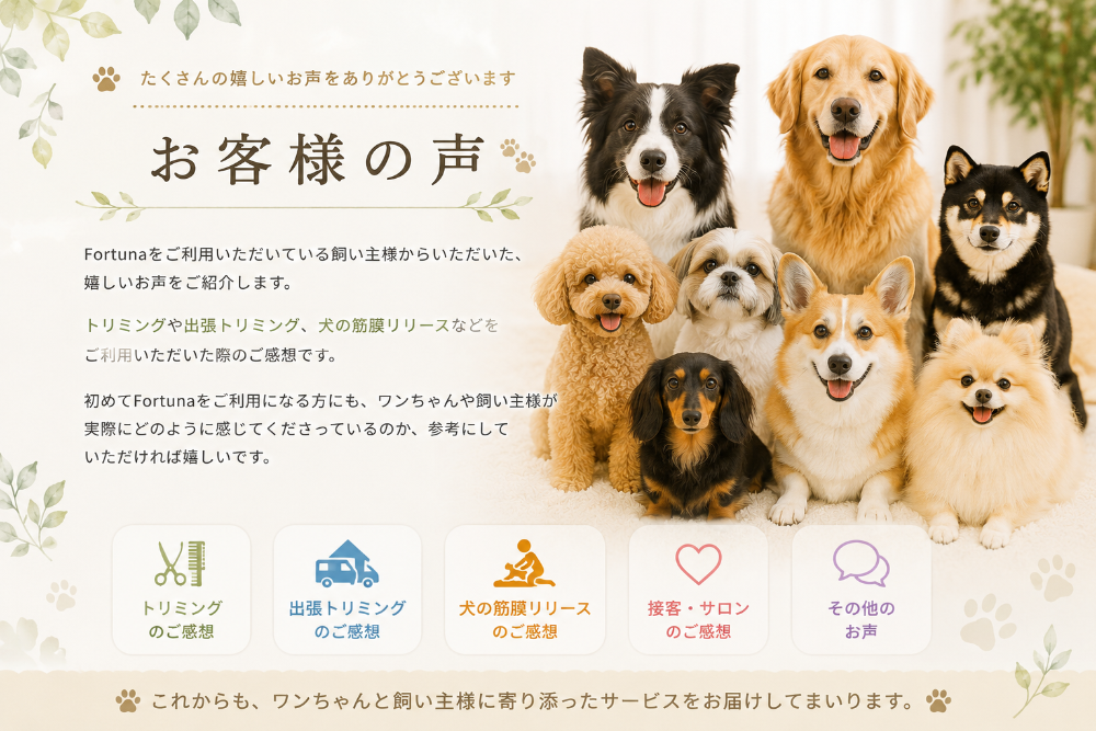 三郷市のトリミングカー&サロンFortunaのお客様の声。コーギー、ポメラニアン、トイプードル、ダックス、柴犬など様々な犬種と、トリミング・出張トリミング・犬の筋膜リリースをご利用いただいた飼い主様の感想を紹介。