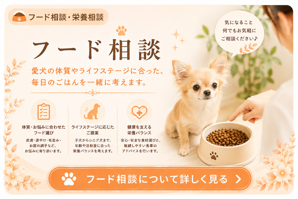 埼玉県三郷市のトリミングカー&サロンFortunaの犬のフード・オヤツ相談。愛犬の年齢や体質、毎日の食事の悩みに合わせて、フード選びや食生活についてアドバイスしています。