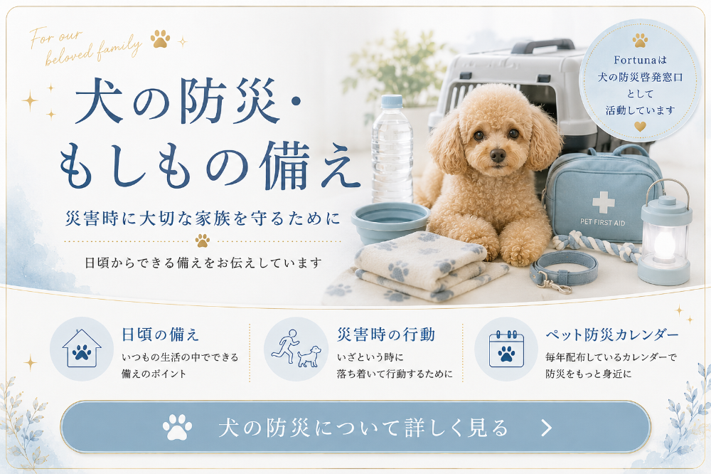 埼玉県三郷市のトリミングカー&サロンFortunaによる犬の防災啓発。災害時に大切な愛犬を守るため、ペットの避難や防災用品、飲料水・フード・キャリーケース・リード・応急手当用品など、日頃からできる犬の防災・もしもの備えについて飼い主様へ情報発信しています。