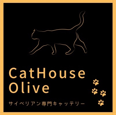 【CatHouse Olive】 ﾌﾞﾘ-ﾀﾞ-直販  千葉県　サイベリアン