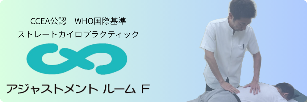 アジャストメントルームF