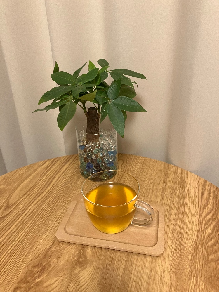 ハーブティーとテーブルヤシ