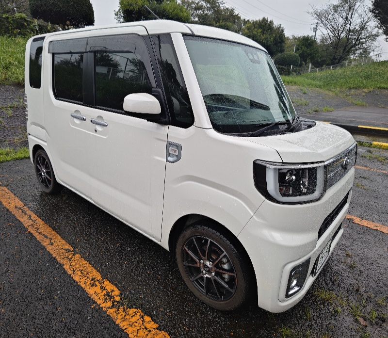 ペットタクシー