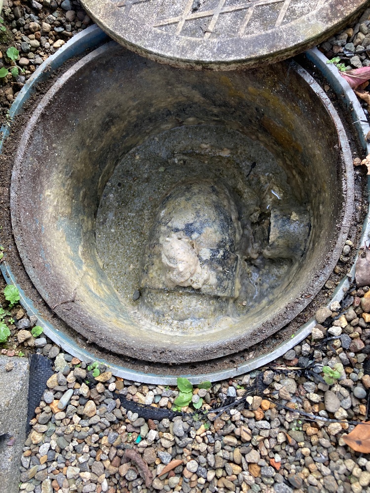排水桝