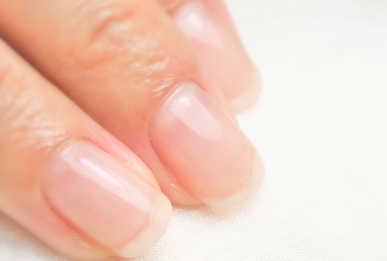 自爪風仕上げつやあり