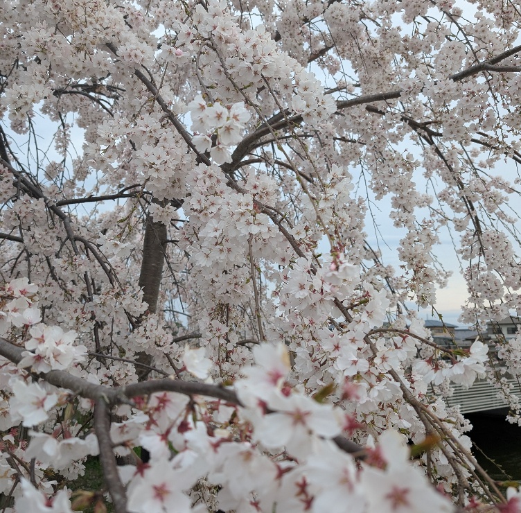 相談支援事業所りんく