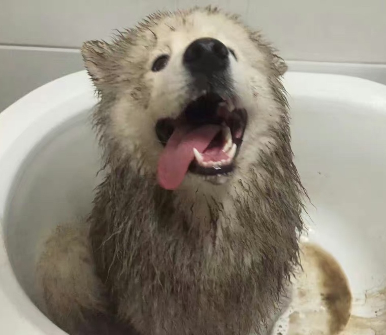 泥パックやハーブパックを推奨