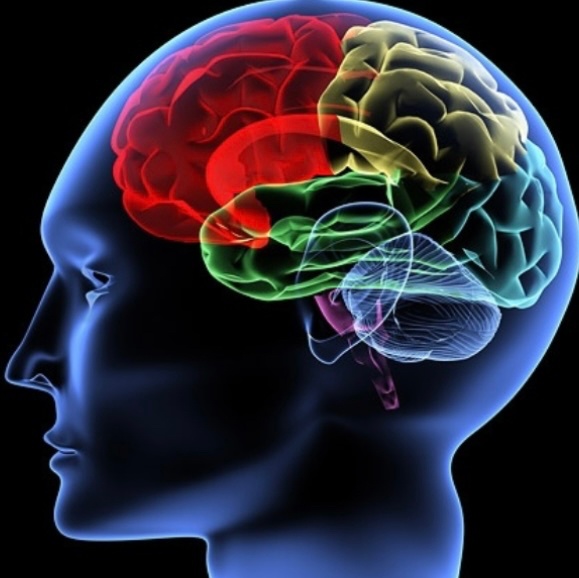 心の病やメンタルをサポートするサロン