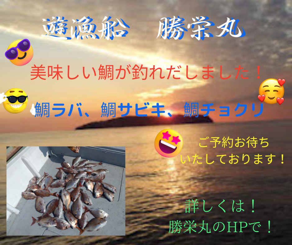 鯛ラバ、鯛サビキ、鯛チョクリがおすすめです!