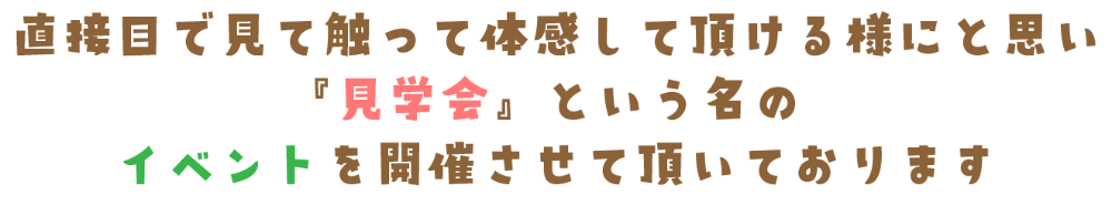 フクロモモンガふれ合い体験開催中