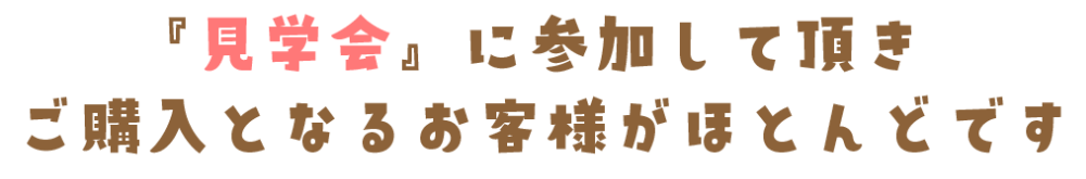 フクロモモンガふれ合い会