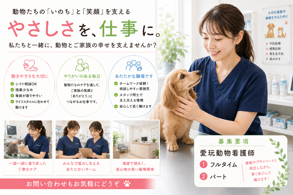 昭和動物病院（北海道函館市）の愛玩動物看護師の求人です