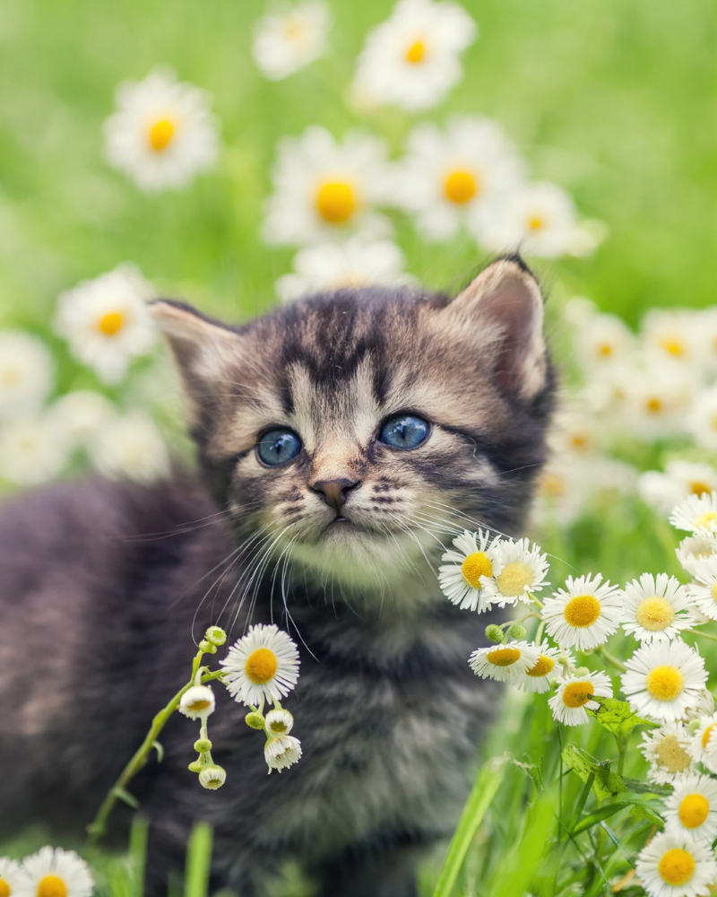 流産や死産を経験した天使ママ・不妊に悩む女性が安心できる居場所