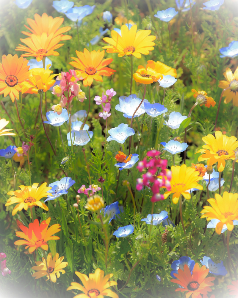 流産や死産を経験した天使ママ・不妊に悩む女性が安心できる居場所