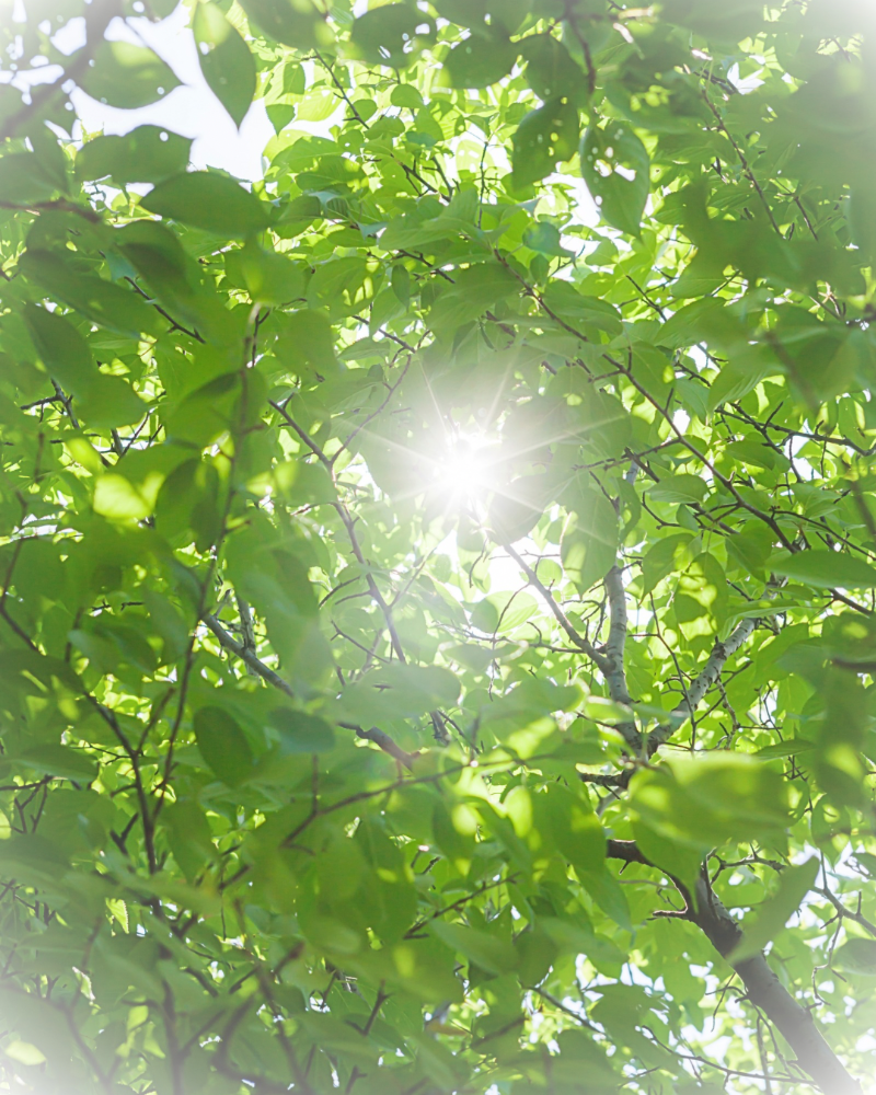 流産や死産を経験した天使ママ・不妊に悩む女性が安心できる居場所
