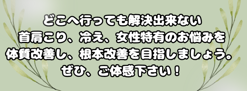 どこのお店へ行っても解決出来ない首肩こり、冷え、女性特有のお悩みを体質改善し、根本改善を目指しましょう。ぜひご体感下さい!