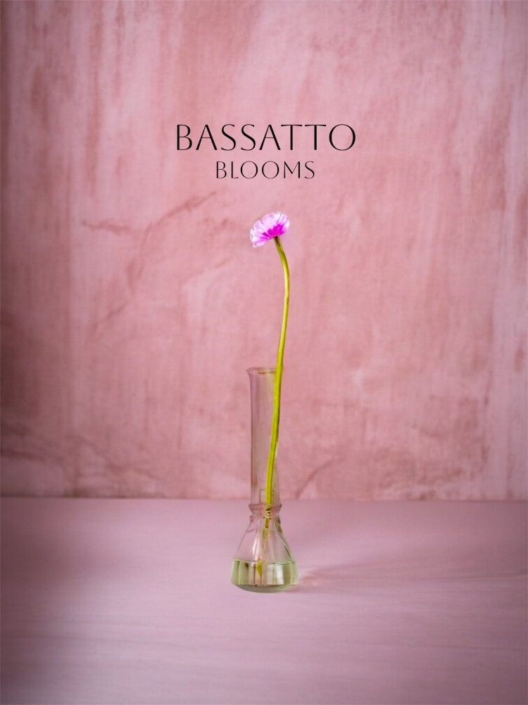 市場直送の新鮮な花を業者仕入価格で購入できるBASSATTO Bloomsの10本束花束。自宅用やギフト、大量購入にも対応する小売フラワーショップ。