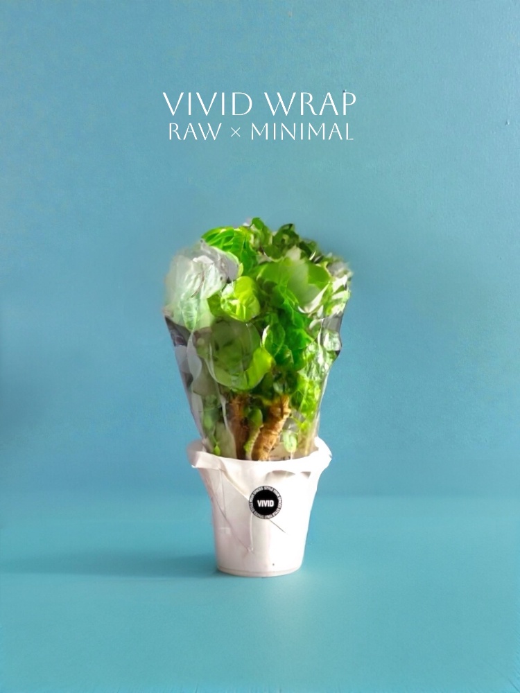 市場直送の観葉植物をRAWな佇まいのまま包むBASSATTO Plantsのギフトラッピング。派手な装飾を抑え、植物本来の個性が伝わる贈り物として提案。