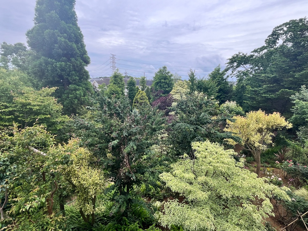 嬉野つばさの占いを受けて満足してる女性のイラスト。