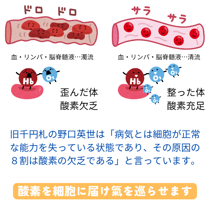 酸素を細胞に届け氣を巡らせます