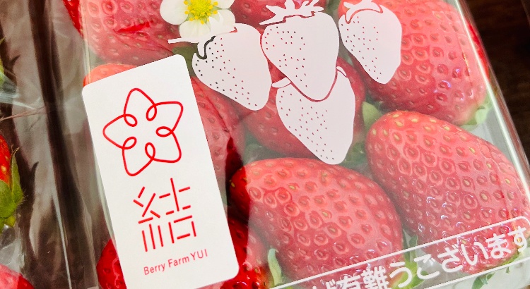 パック詰めのいちご