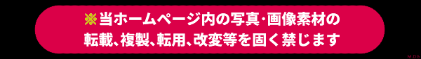 転載禁止