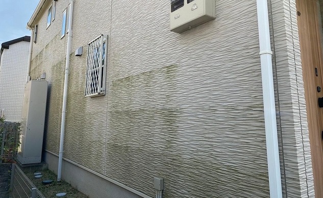 外壁コケ外壁塗装