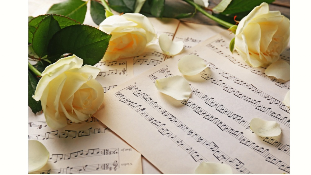 サイトタイトル