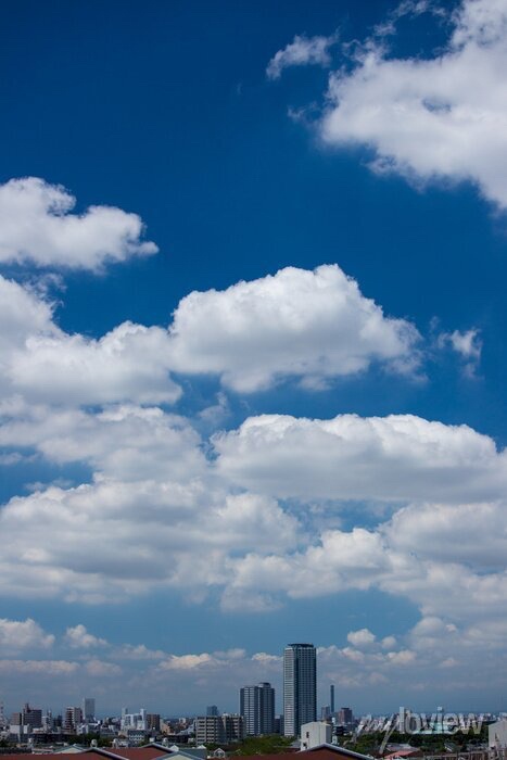 サイトタイトル