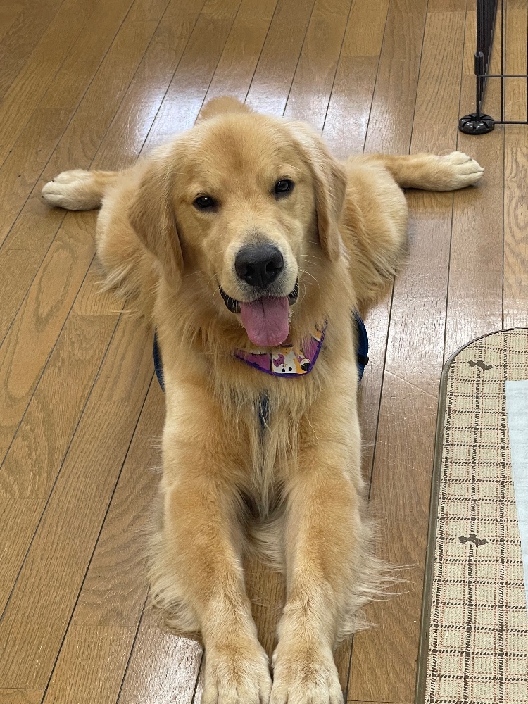 ひたちなかペットホテル