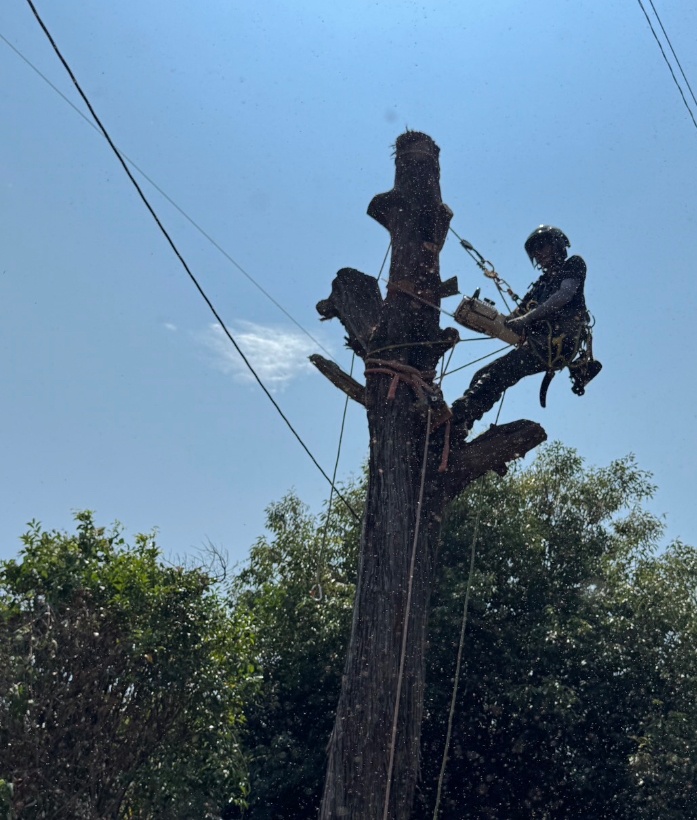 ロープ高所作業