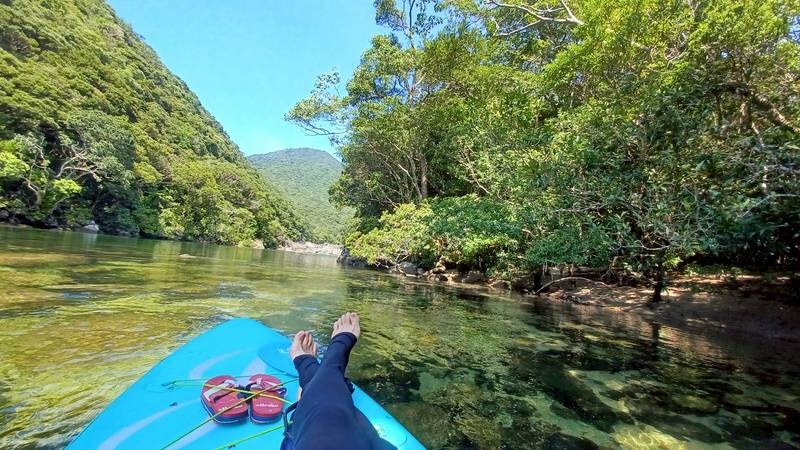 透明度の高い川に浮かぶカヌー