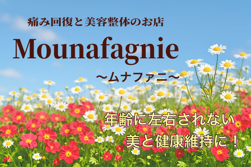横浜市港北区 大倉山にある痛み回復と美容整体のお店【ムナファニ】　小顔矯正　バストアップ　骨盤矯正　肩こり　腰痛　片頭痛　腱鞘炎