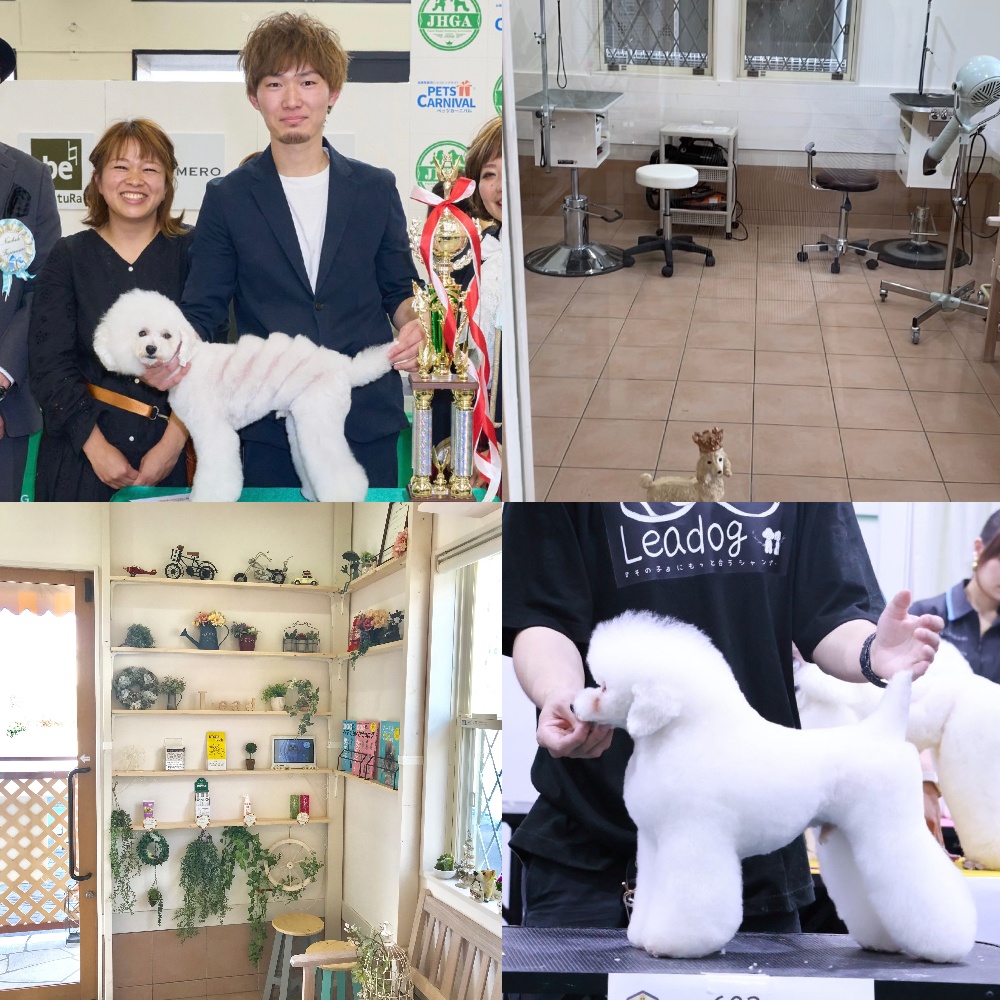 SIIILON Dear DOG trainer 犬 シーロン ドッグサロン ラ・レーヌ | ＊ Styling by Chiharu