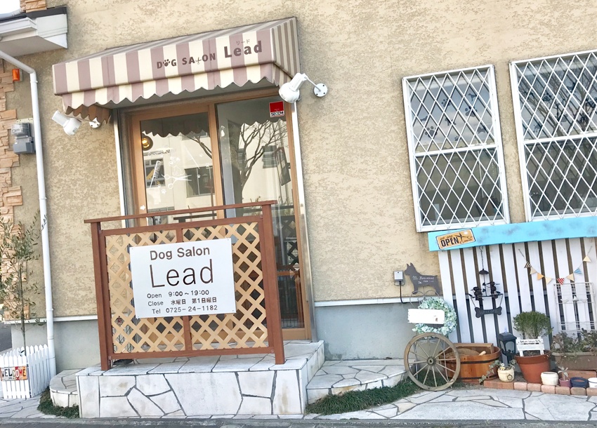 Dog Salon Lead (ドッグサロンリード)