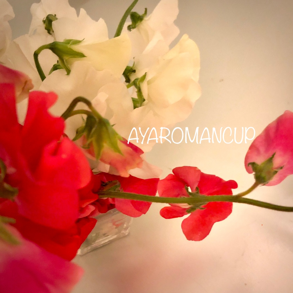 フレッシュフラワー体験