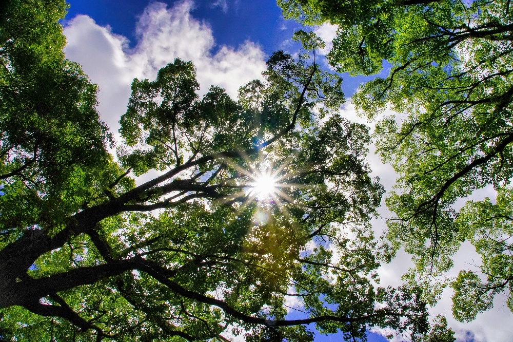 （公式）Progre ssBIGBAN

        
         
　　　 