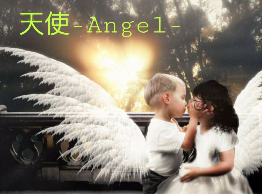 天使 Angel