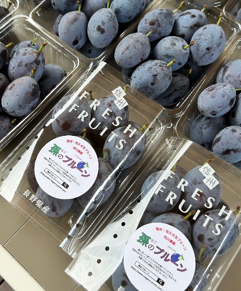 孫のプルーン 〜信州・佐久の生プルーンをお届け！松川農園〜