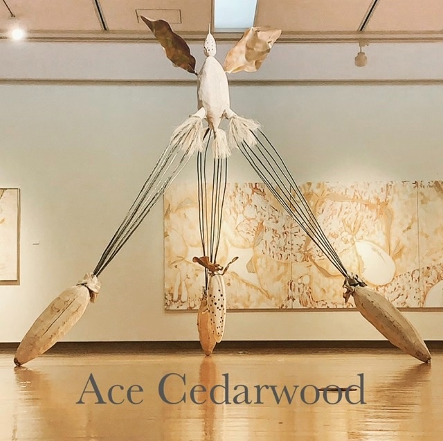 アーティスト Ace’s ART World / 福岡出身、NYを拠点に活躍する人気現代美術アーティスト・ライブペインターすぎもりえいとく（Ace Cedarwood）のホームページ【公式】